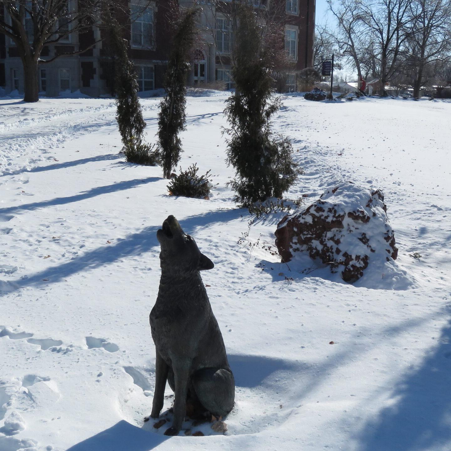 Coyote statue in snow with trees and rocks behind